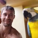 ���������� ������, ���� ������� ����, 36 ���, ������������ ��� ������, ����� � ���������