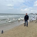 ���������� ��������, ���� ������� �������, 38 ���, ������������ ��� ������, ����� � ���������, c�������� ���������, ���������