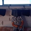 ���������� ������-��-����, ���� ������� �����, 36 ���, ������������ ��� ������, ����� � ���������