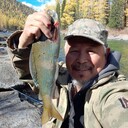  -,   , 54 ,   ,   , c 