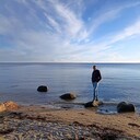  ,   Sergei, 38 ,   ,   , c 
