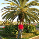 ���������� �����, ���� ������� ����, 60 ���, ������������ 