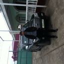  ,   Firuz, 41 ,   