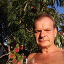   ,   Ted, 40 ,   ,   , c , 