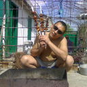  ,   Garibaldi687, 54 ,  