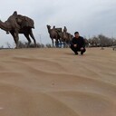 ���������� ������, ���� ������� �����  ���, 43 ����, ������������ ��� ������, ����� � ���������