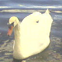 ���������� ����, ���� ������� Edik, 56 ���, ������������ ��� ������