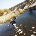 ���������� ����, ���� ������� ���������, 40 ���, ������������ ��� ������, ����� � ���������, c�������� ���������