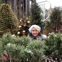 ���������� ������, ���� ������� �����, 53 ����, ������������ ��� ������, ����� � ���������, c�������� ���������