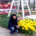 ���������� �����, ���� ������� �������, 56 ���, ������������ ��� ������, ����� � ���������, c�������� ���������