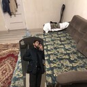 ���������� ���������, ���� ������� �����, 26 ���, ������������ ��� ������, ����� � ���������