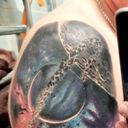  ,   Alexander, 34 ,   ,   