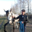  ,   , 53 ,  