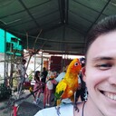 ���������� ������, ���� ������� ��������, 32 ����, ������������ ��� ������, ����� � ���������, c�������� ���������