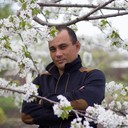 ���������� ���������, ���� ������� �������, 43 ����, ������������ ��� ������, ����� � ���������, c�������� ���������