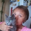  -,   , 63 ,   c 