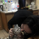  ,   , 29 ,   ,   