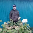 ���������� �������, ���� ������� ��������, 36 ���, ������������ ��� ������, ����� � ���������, c�������� ���������, ���������