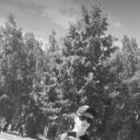 ���������� ������������, ���� ����� ������, 21 ���, ������������ ��� ������, ����� � ���������