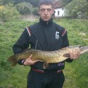 ���������� �����, ���� ������� ������, 36 ���, ������������ ��� ������, ����� � ���������, c�������� ���������