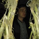 ���������� �����������, ���� ����� �����, 24 ����, ������������ ��� ������, ����� � ���������, c�������� ���������, ���������