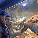 ���������� ����, ���� ������� ����, 31 ���, ������������ ��� ������, ����� � ���������