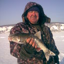  ,   , 66 ,   ,   , c 