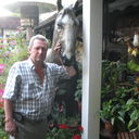  ,   Papa, 67 ,   