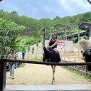 ���������� �����-���������, ���� ������� ������, 57 ���, ������������ ��� c�������� ���������