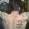  ,   Maksim, 36 ,     , c 