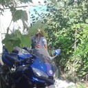 ���������� ��������, ���� ������� Milutin, 41 ���, ������������ ��� ������, ����� � ���������, c�������� ���������