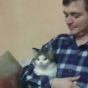  ,   , 29 ,   ,   , c , 