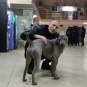 ���������� �����, ���� ������� �������, 42 ����, ������������ ��� ����� � ���������, c�������� ���������