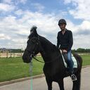 ���������� ������, ���� ������� ���������, 31 ���, ������������ ��� ������, ����� � ���������, c�������� ���������, ���������