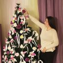 ���������� ������-��-����, ���� ������� ��������, 34 ����, ������������ ��� ������, ����� � ���������, c�������� ���������