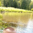 ���������� ����, ���� ������� ������, 39 ���, ������������ ��� ������, ����� � ���������