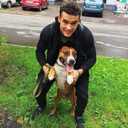 ���������� ������, ���� ������� ����, 37 ���, ������������ 