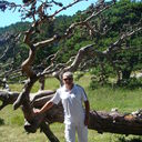 ���������� �������, ���� ������� ������, 60 ���, ������������ ��� ������