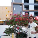  ,   , 66 ,   ,   , c , 