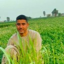  ,   Alio, 41 ,   ,   