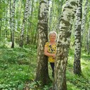  ,   , 65 ,   ,   