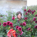 ���������� �������, ���� ������� �������, 49 ���, ������������ ��� ������, ����� � ���������, c�������� ���������