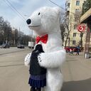 ���������� ������, ���� ������� ������, 51 ���, ������������ ��� ������, ����� � ���������, c�������� ���������, ���������