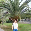 ���������� �������, ���� ������� �������, 38 ���, ������������ ��� ������, ����� � ���������, c�������� ���������