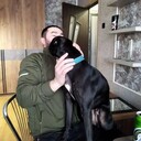 ���������� �����-���������, ���� ������� �����, 34 ����, ������������ ��� ������, ����� � ���������, c�������� ���������