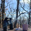 ���������� �����������, ���� ������� ���������, 37 ���, ������������ ��� ������, ����� � ���������, ���������