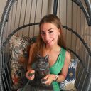  ,   , 33 ,   ,   , 