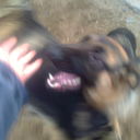 ���������� ���������, ���� ������� ������, 60 ���, ������������ ��� ������, ����� � ���������, c�������� ���������