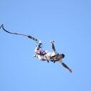 ���������� ������, ���� ������� ��������, 40 ���, ������������ ��� ������