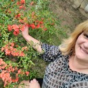 ���������� ������, ���� ������� �����, 59 ���, ������������ ��� ������, ����� � ���������, c�������� ���������